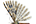 Alucitidae