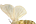 .Bombycidae