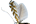 Gracillariidae