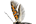 Heliodinidae