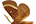 Lasiocampidae