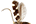 .Meessiidae