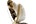 .Momphidae