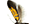 .Oecophoridae