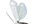Opostegidae