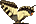 Papilionidae