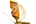 .Peleopodidae