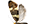 Prodoxidae