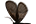 Psychidae
