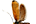 Roeslerstammiidae