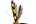 .Stathmopodidae