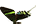 .Uraniidae