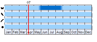 Phenogram based on literature