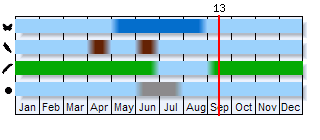 Phenogram based on the literature