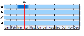 Phenogram based on literature