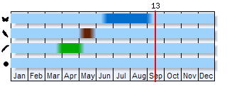 Phenogram based on the literature
