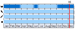 Phenogram based on the literature