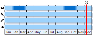 Phenogram based on the literature