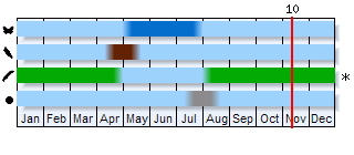 Phenogram based on the literature