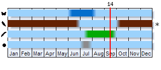 Phenogram based on the literature
