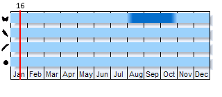 Phenogram based on the literature