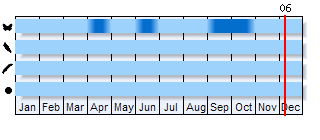 Phenogram based on the literature