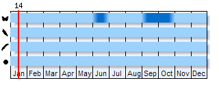 Phenogram based on the literature