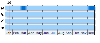 Phenogram based on the literature