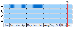 Phenogram based on the literature