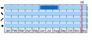 Phenogram based on the literature