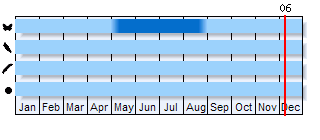 Phenogram based on the literature