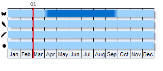 Phenogram based on literature