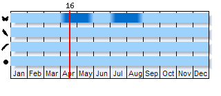 Phenogram based on literature