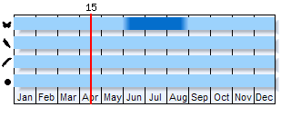 Phenogram based on literature