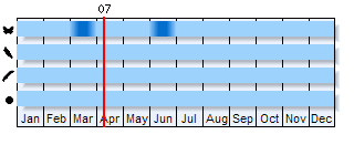 Phenogram based on literature