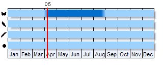 Phenogram based on literature
