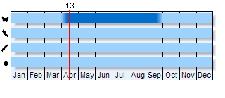 Phenogram based on literature