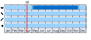 Phenogram based on literature