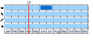 Phenogram based on literature