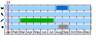 Phenogram based on the literature