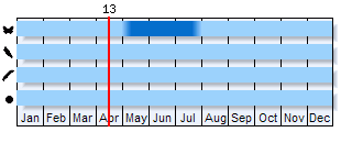 Phenogram based on literature