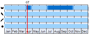 Phenogram based on literature