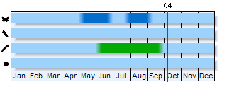 Phenogram based on the literature