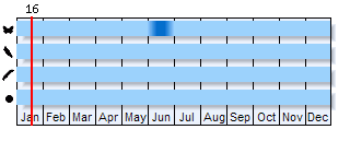 Phenogram based on the literature