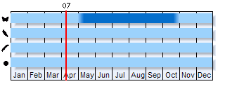 Phenogram based on literature
