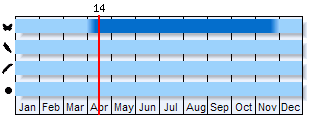 Phenogram based on literature
