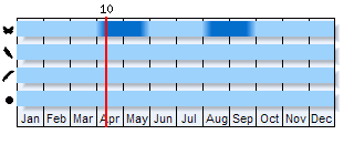 Phenogram based on literature