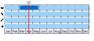Phenogram based on literature