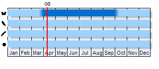 Phenogram based on literature