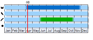 Phenogram based on literature